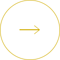 icon arrow
